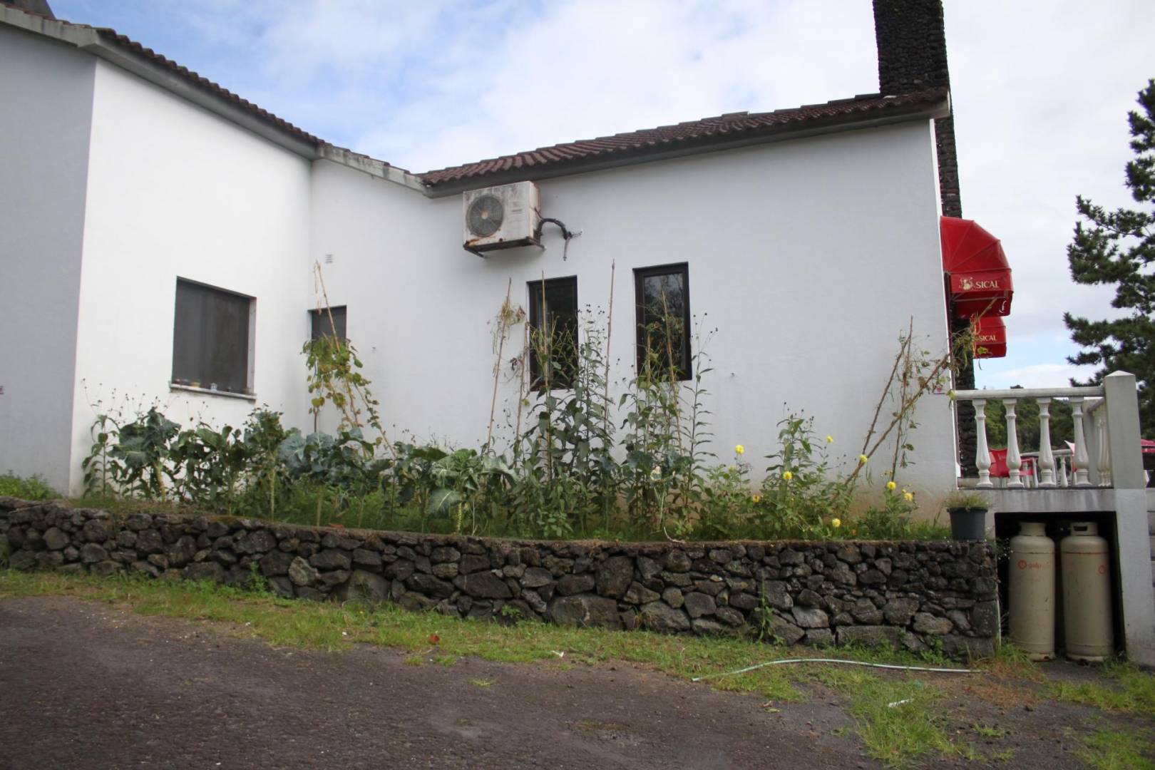 business restaurant view Faial