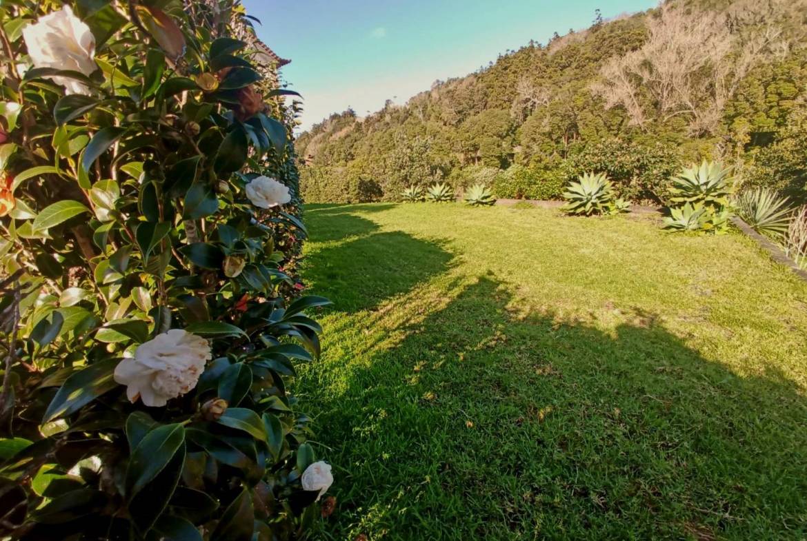 modern home garden views