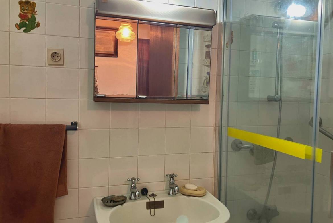 apartment city centre faial